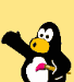corner-penguin